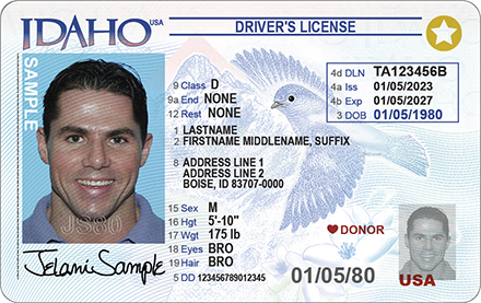 International drivers license