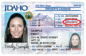 Free nevada drivers license template