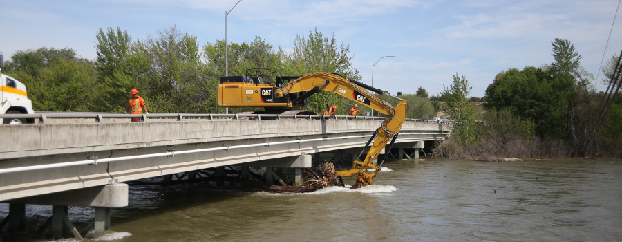 Bridge Snag Removal