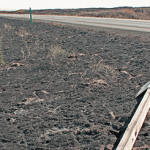 wildfire damaged sign