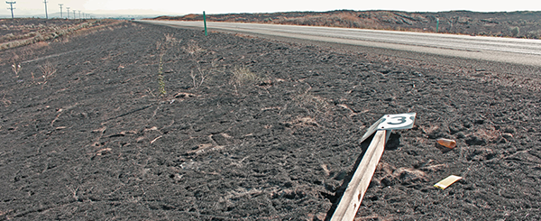 wildfire damaged sign
