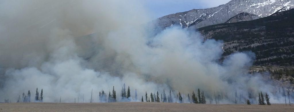 Traveling for the Eclipse? Don’t start a wildfire