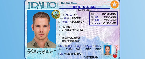 Driver Finder License Id