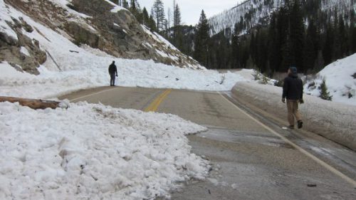 Snow avalanches