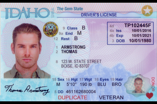 DMV driver’s license status update; plus status check on license issuance across Idaho