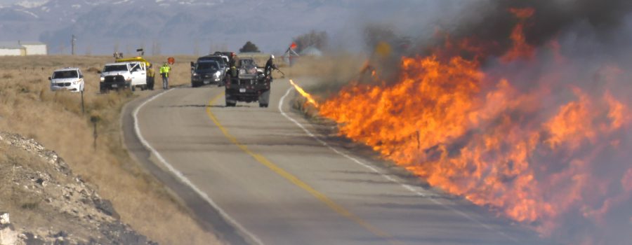 BLM fire crew conducts controlled burn along a highway