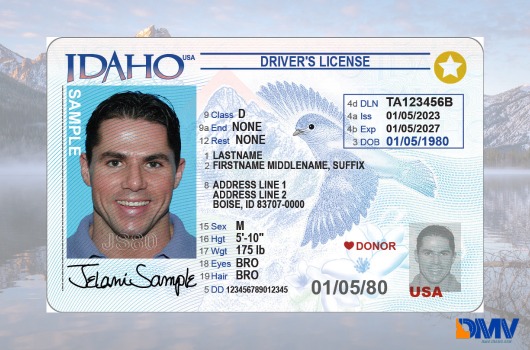 Idaho Driver's License