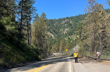 Tree removal on SH-55