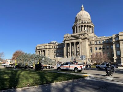 A large evergreen tree on a flatbed truck in front of the Idaho Statehouse.