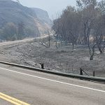 Photo of SH-3 after recent fire.