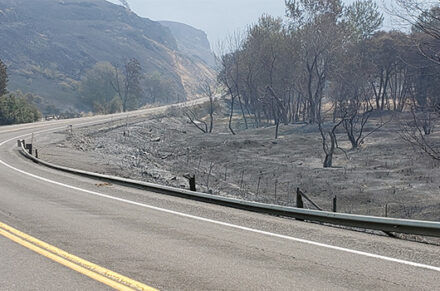 SH-3 after recent fire. The guardrail is damaged and the land next to the road is blackened.
