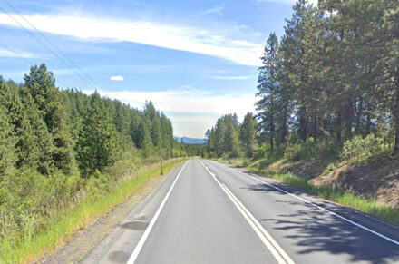 A view of the roadway on SH-3 with evergreen trees on the right side.