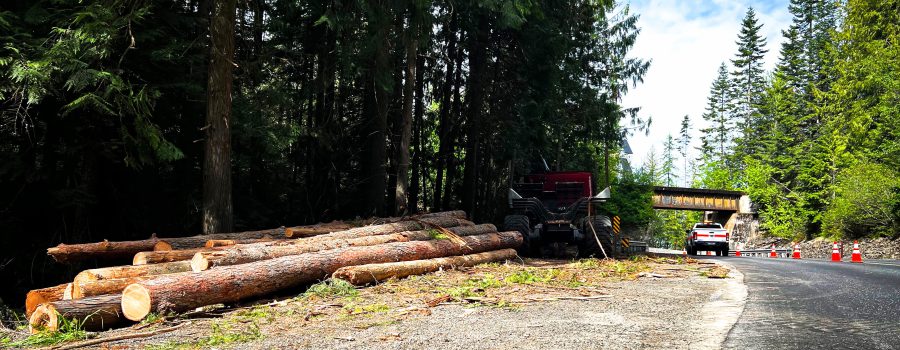 Logs after a recent tree removal project along SH-5 in North Idaho.