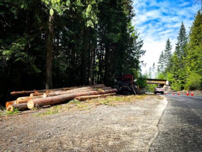 Logs after a recent tree removal project along SH-5 in North Idaho.