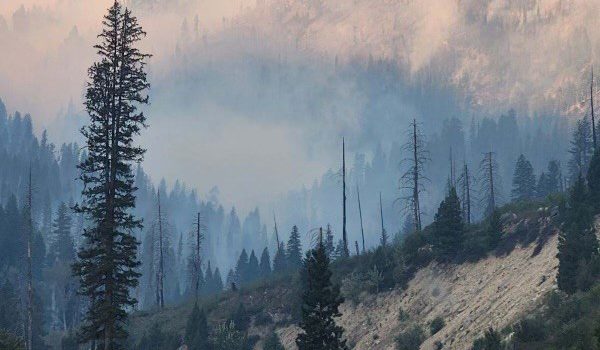 The Wapiti Fire burning in the Boise National Forest.