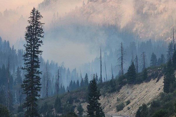 The Wapiti Fire burning in the Boise National Forest.