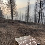 A burned sign along SH-21 from the Wapiti Fire.