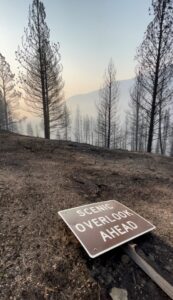 A burned sign along SH-21 from the Wapiti Fire. A sign that says "Scenic Overlook Ahead" is knocked over.