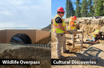 A split image with a wildlife overpass on the left and employees with cultural artifacts on the right.