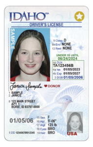 A sample image of a vertical driver's license with young woman on it.
