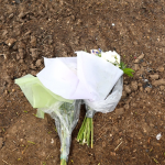 Flowers laying on the dirt beside a road