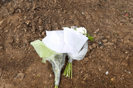 Flowers laying on the ground.