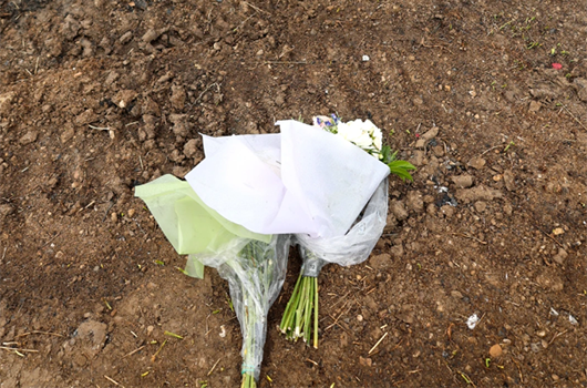 Flowers laying on the dirt beside a road