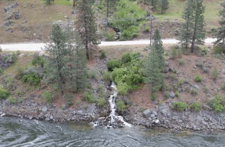 A creek drains via a culvert into the river