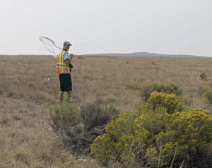A man with a safety vest and butterfly net.