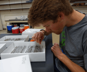 A man looks into a box of research samples.
