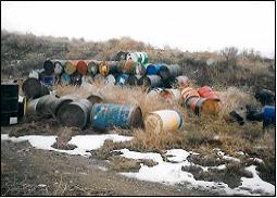 Discarded oil drums laying in grass.