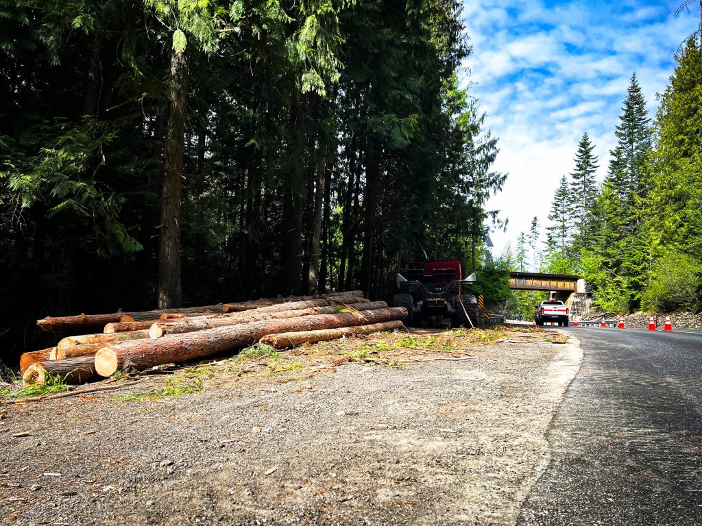 Hazard Tree Removal on Idaho Highways