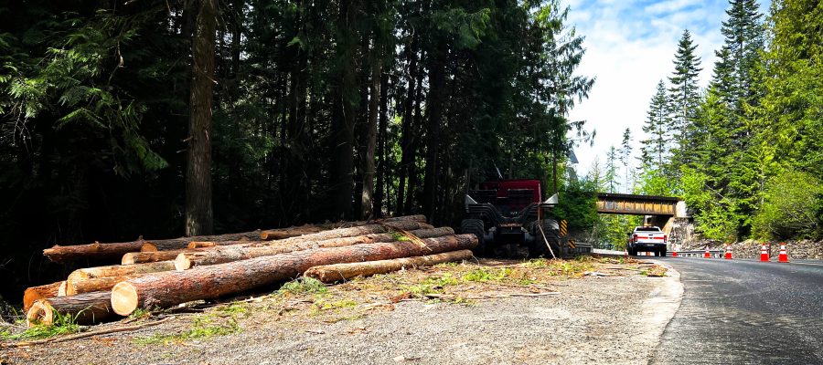 Logs from a hazard tree removal project decked up on the side of the road awaiting removal.