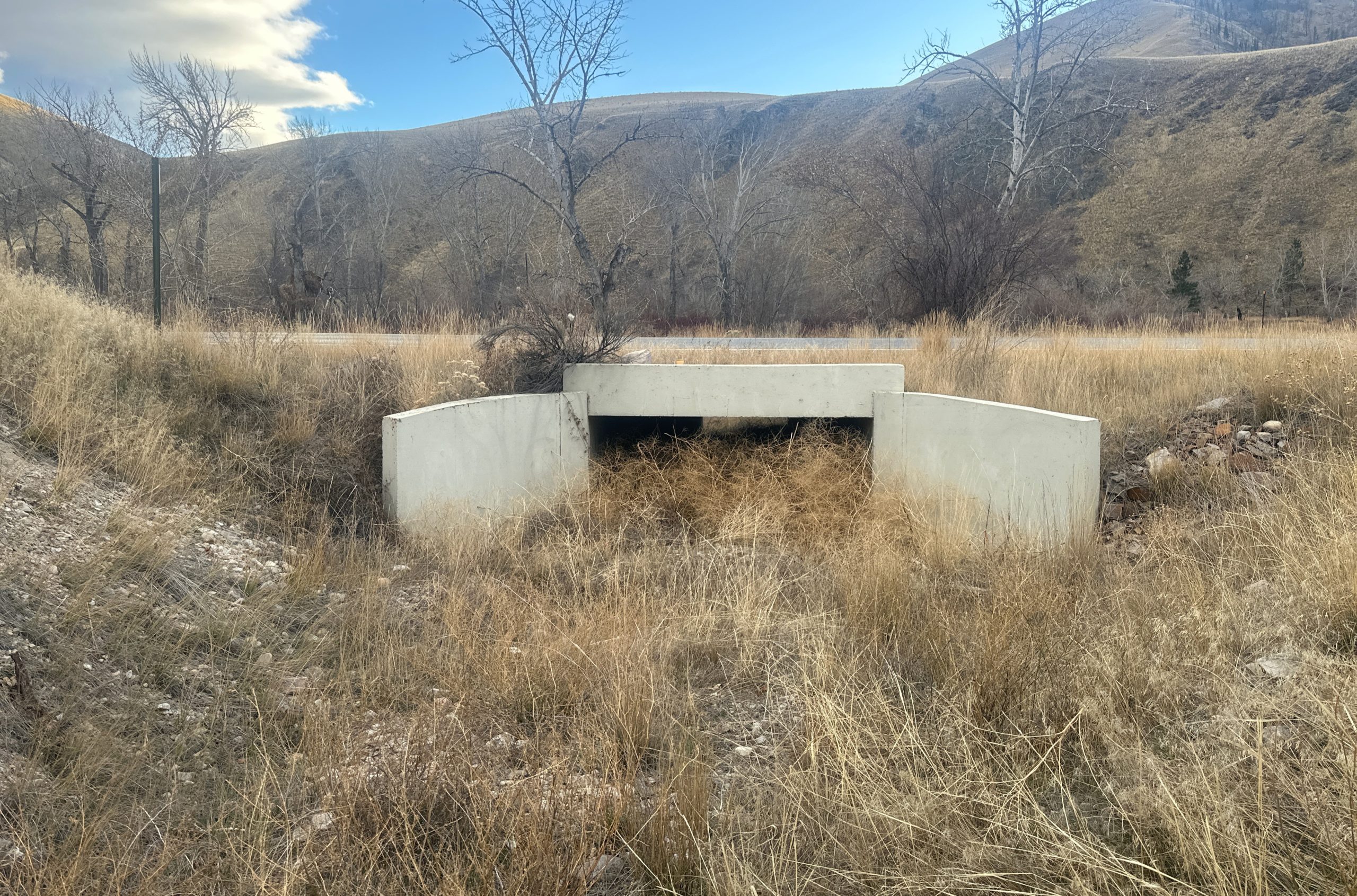 Kriley Gulch Bridge under US-93 near Salmon, Idaho.