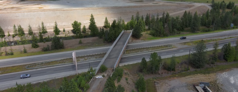 Aerial view of the abandoned overpass.