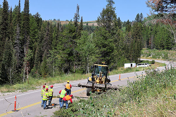 Workers from ITD and IDOC doing hazardous tree removal on SH-31, showing a loader hauling large logs and people on the ground on the roadway around the equipment.