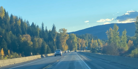 Sunny stretch of US-95 near Naples.