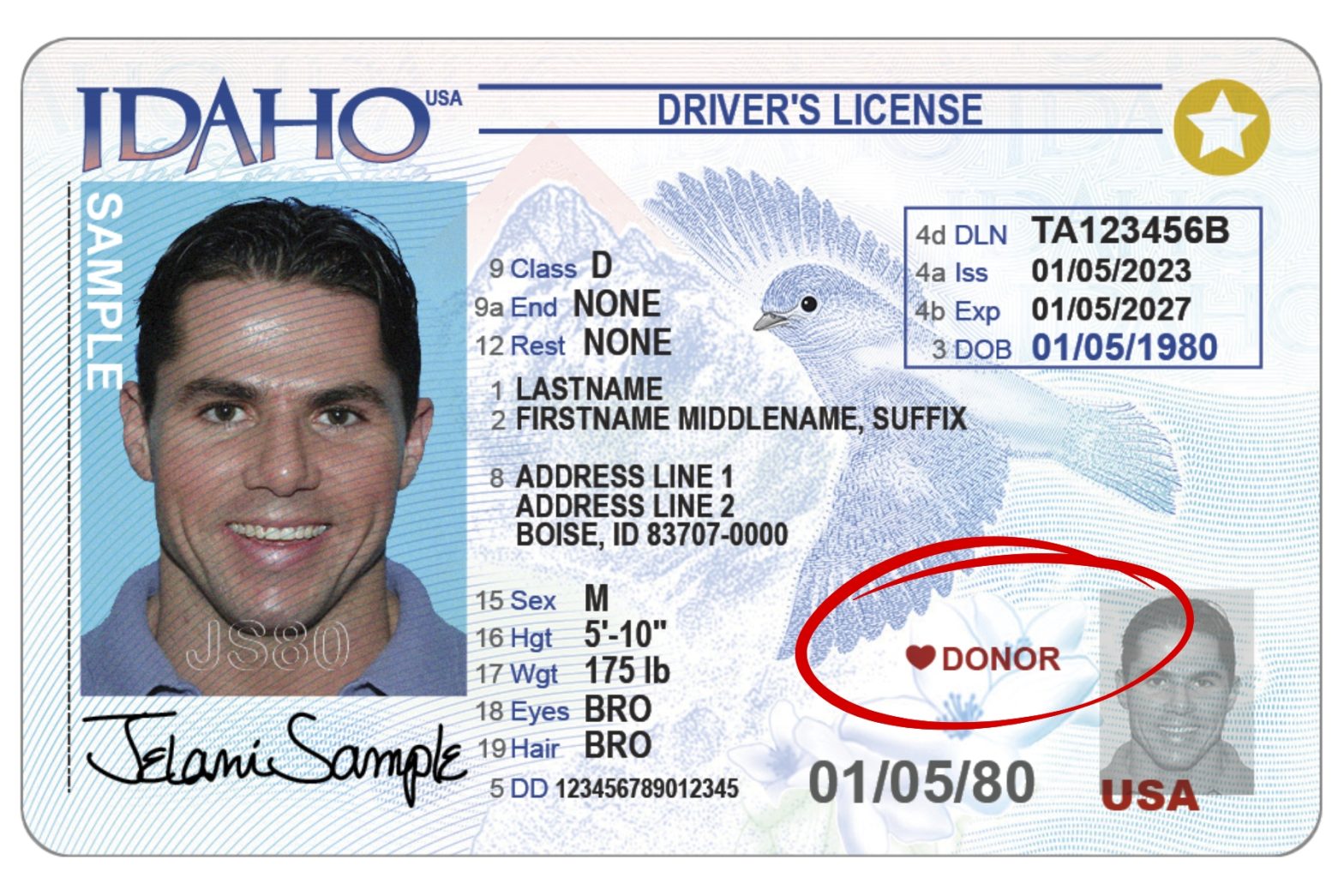 Mock license with "donor" circled in red.
