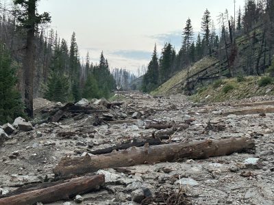 Mud, rocks, logs and other debris cover both lanes of State Highway 21 following a mudslide near Grandjean.