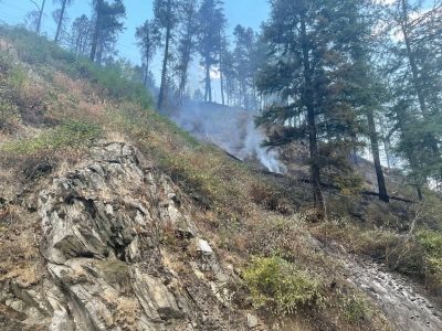 Smoke rises from a recently burned area on a steep, rocky forested hillside among pine trees.