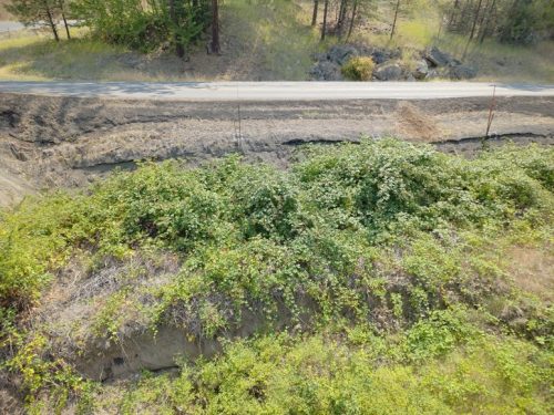Slow-moving landslide below SH-11 on the Greer Grade, showing areas of exposed and displaced soil along the steep, vegetated hillside beneath the roadway.