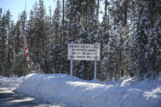 Sign at Banner Creek warning of avalanche zone highway sign for avalanche risk