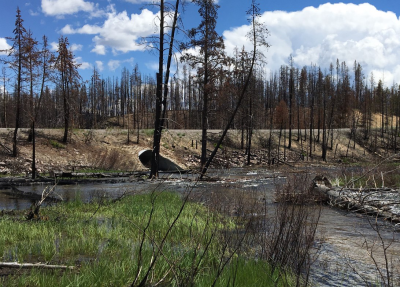 BEFORE photo | Elk Creek Fish Passage
